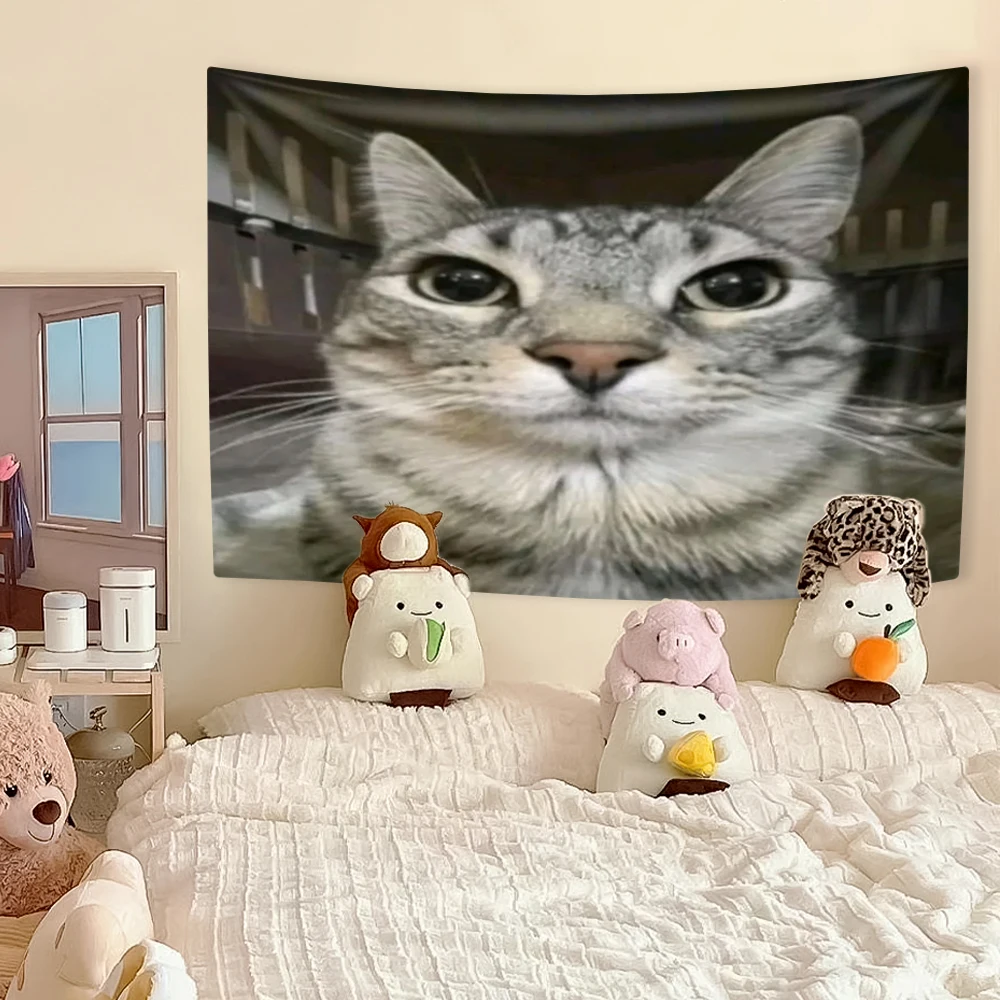 Funny Cat Meme Tapestry, Kawai - Wall Scroll Tapestry ulasan dan harga